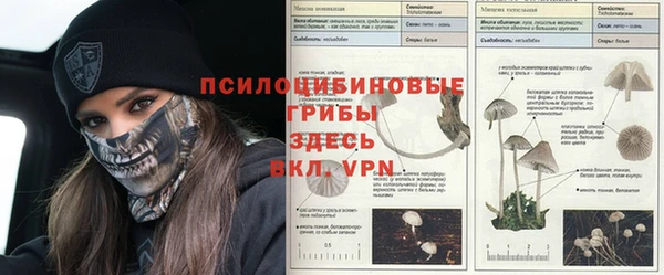 мяу мяу кристалл Алзамай