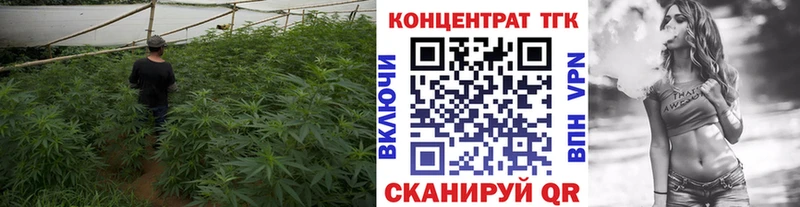hydra сайт  Кедровый  Дистиллят ТГК жижа  цена  